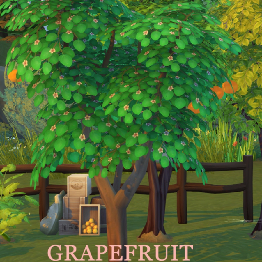 HARVESTABLE GRAPEFRUIT by icemunmun Spanish translation Screenshots