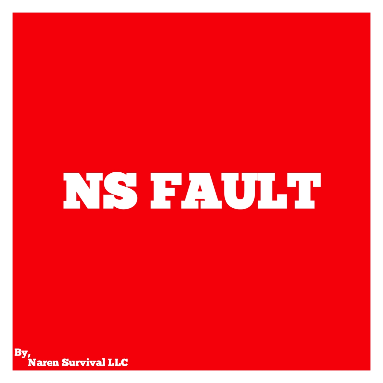 NS FAULT - WARM TORCHES JE
