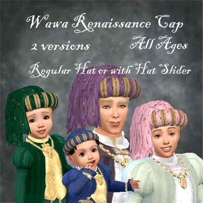 S2 Wawa Renaissance Cap logo