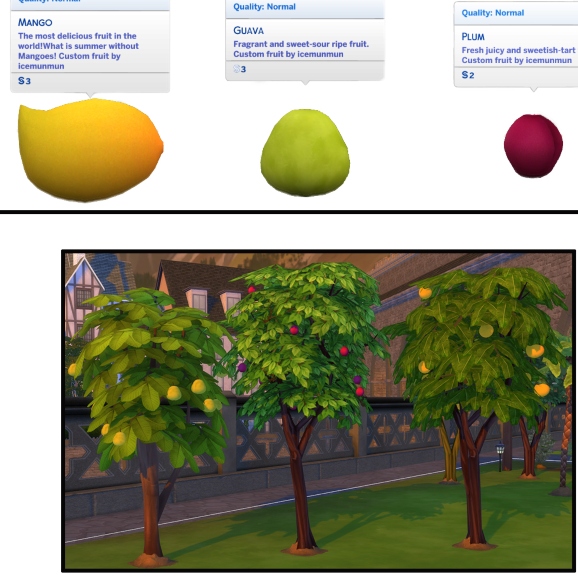 Download Harvestable seasonal fruit trees mango, guava, plum. by