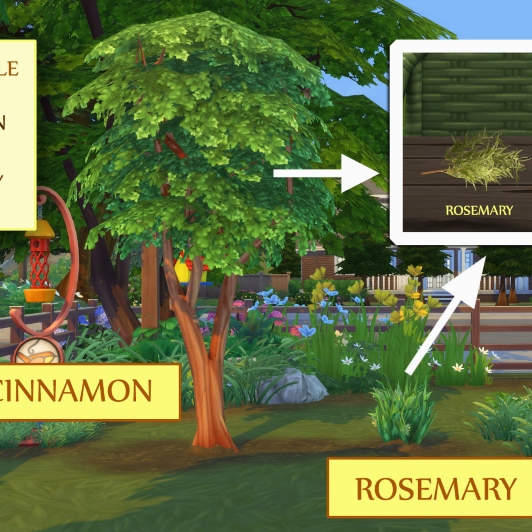 Download Harvestable Cinnamon and Rosemary and OAT PLANT by icemunmun