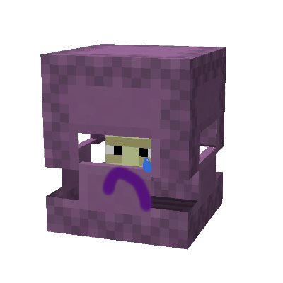 No Ender Shulks