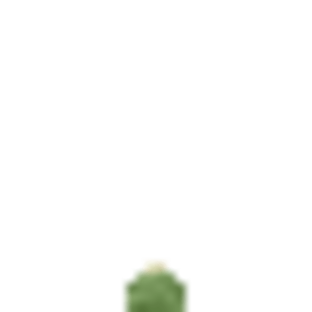 CactusForaging logo