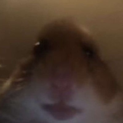 POV: You Have Brainrot