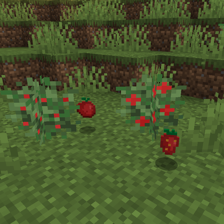 Tomatoes and strawberries
