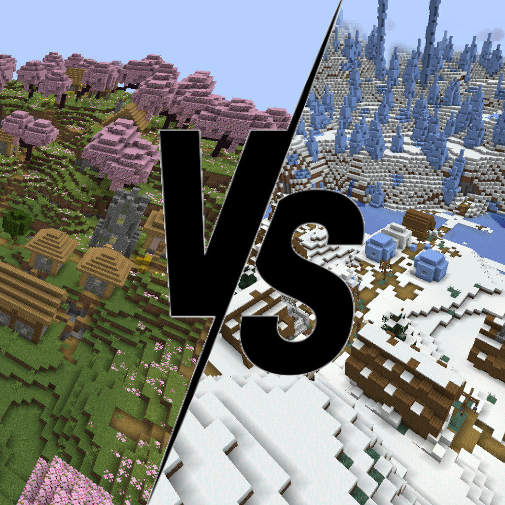 Summer vs Winter project avatar
