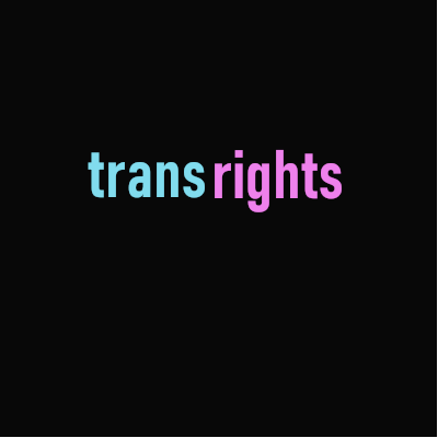 Trans Rights Server