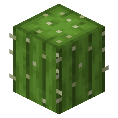 Cooler Cactus logo