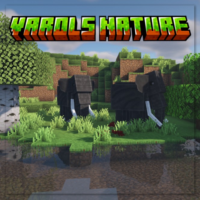 Varols Nature