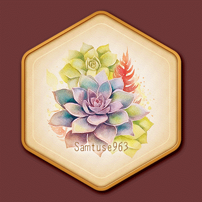 Succulents Painting Hexagonal Frame #1 Samtuse963 logo