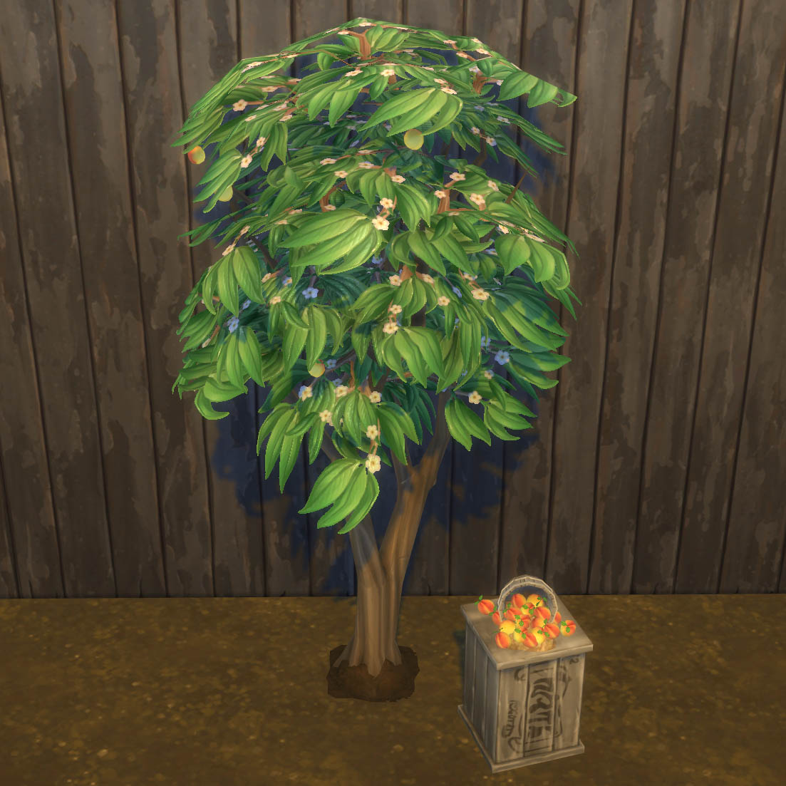 Apricot Harvestable & Plant logo