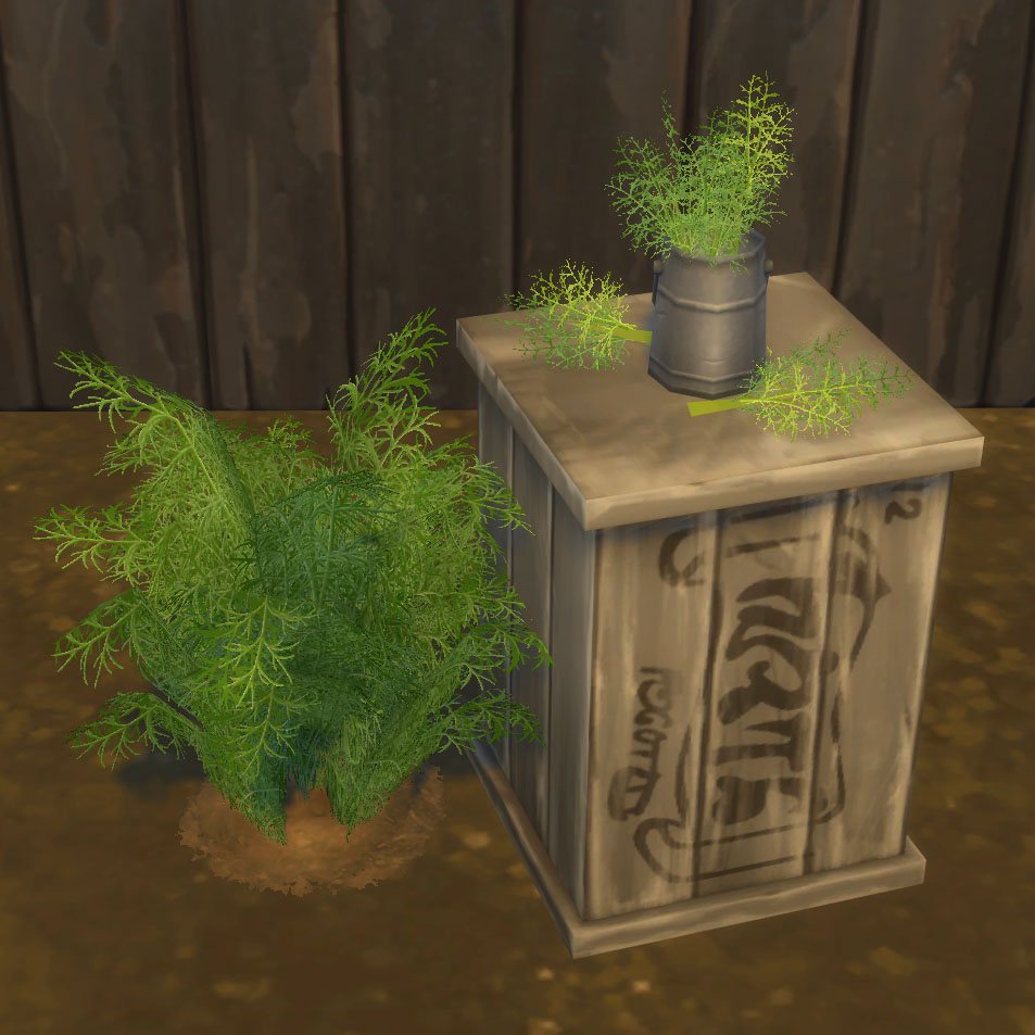 Dill Harvestable & Plant logo