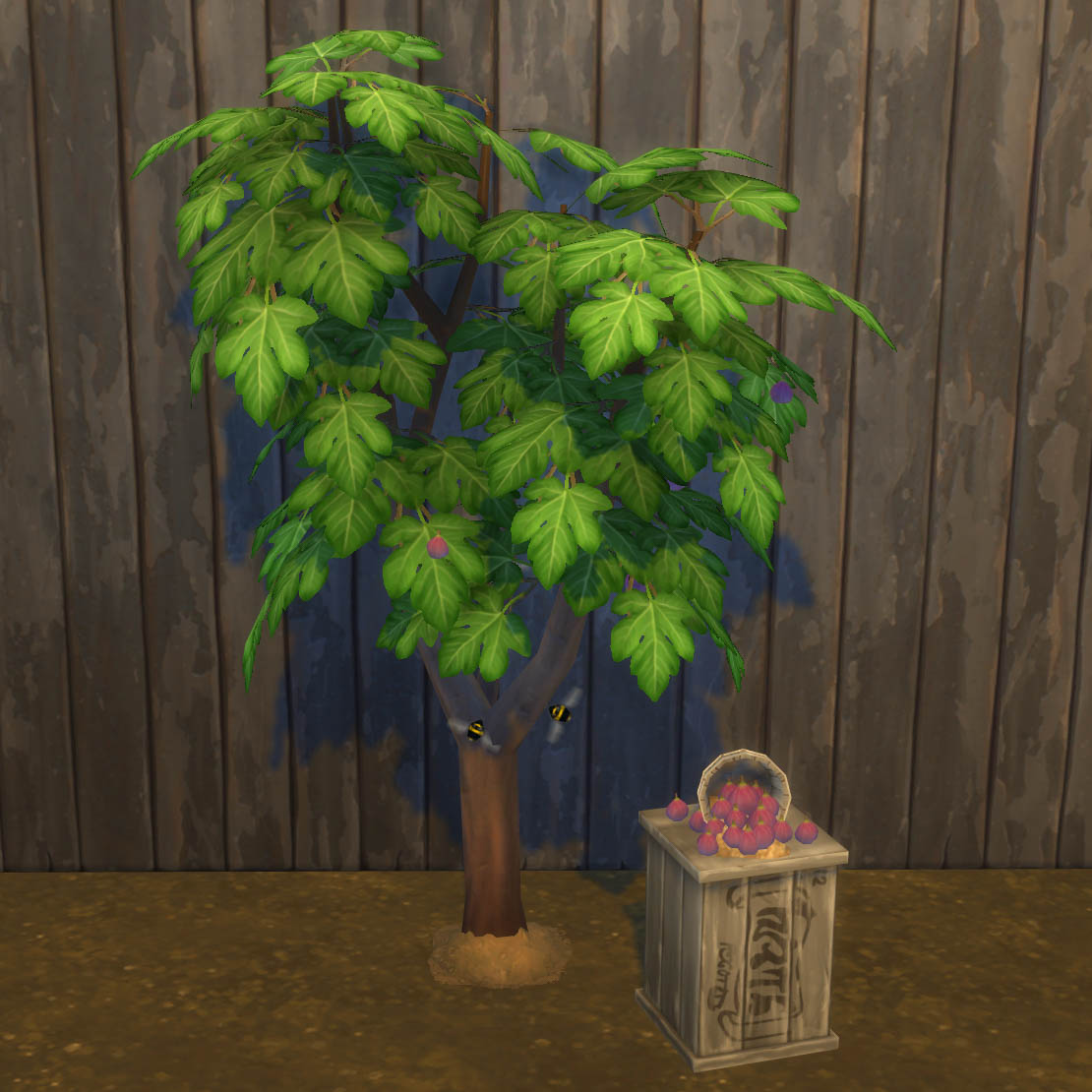 fig-harvestable-plant-mods-the-sims-4