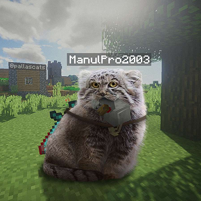 Manulcraft logo