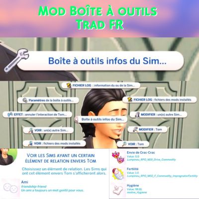 Mod Sim Info Manager - Trad FR logo