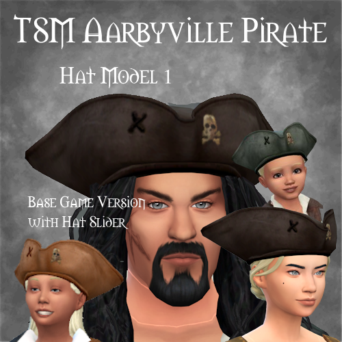 TSM Aarbyville Pirate Hat  Model 1 logo