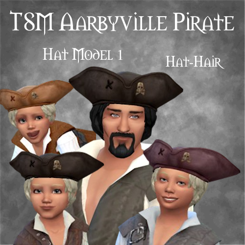 TSM Aarbyville Pirate Hat - Hat-Hair Version logo