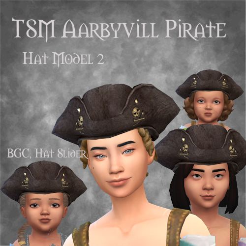 TSM Aarbyville Pirate Hat Model 2 logo