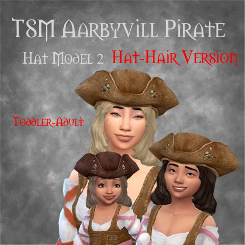 TSM Aarbyville Pirate Hat Model 2 Hat-Hair logo