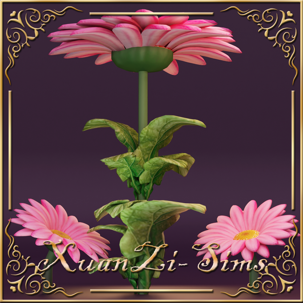 Gerbera table and chairs for Flower Fairy logo