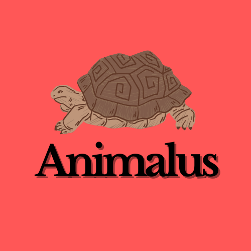 Animalus logo