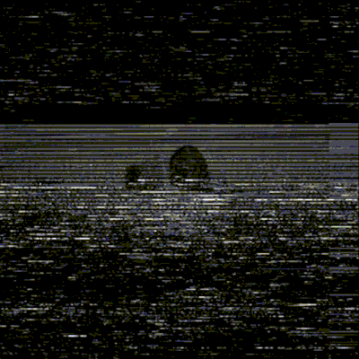Zomb's Byte