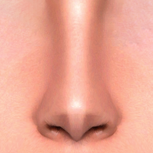 Nose Preset 45 HQ logo