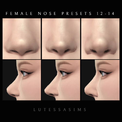 Female Nose Presets 12-14 logo