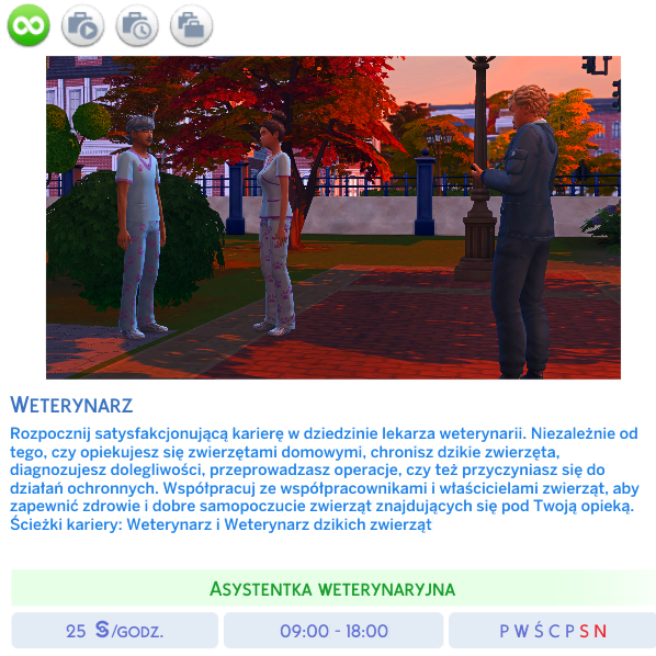Install Veterinarian Career Polish Translation The Sims 4 Mods