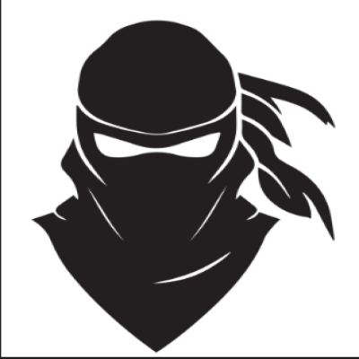 Ninja Warrior
