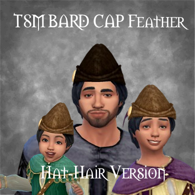 TSM  Bard Cap Feather logo