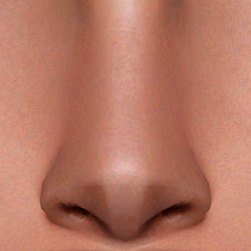 Nose Preset 47 HQ logo