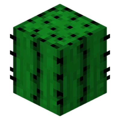 Cactus Colonies