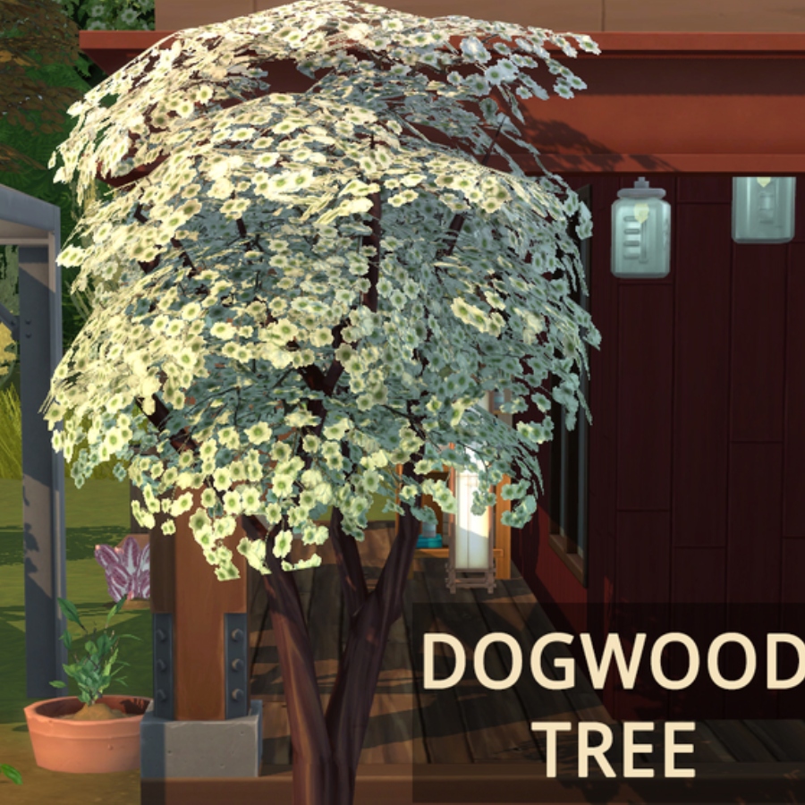 Harvestable dogwood flowers by icemunmun Spanish translation - Files ...