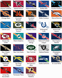 NFL Flags logo