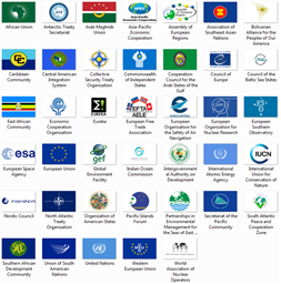 Flags of International Organizations logo