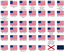 Flags of the USA & CSA logo