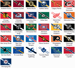 NHL Flags logo