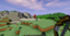 More Survival