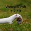 Weasel Craft logo