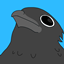 The Crows' Collection logo