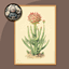 Classic Cactus Painting #3 Sellable Extra A Samtuse963 logo