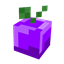 Revival Fruit logo
