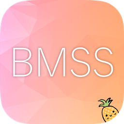 BlueMapSkinSupport logo