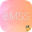 BlueMapSkinSupport logo