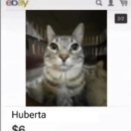 Hubertacraft project image