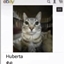 Hubertacraft logo