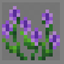 Araneae's Lavender Recolor logo