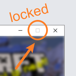Locked Window Size logo