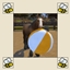 Immediate Call to Horse Ball logo